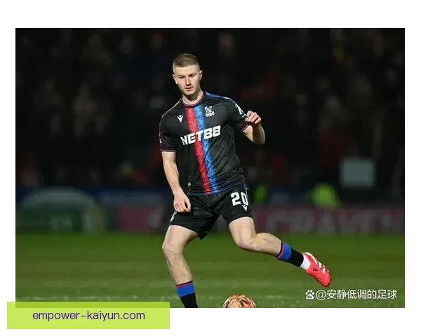 水晶宫俱乐部百年征程与英超崛起风云录传奇球星南伦敦足球文化传承